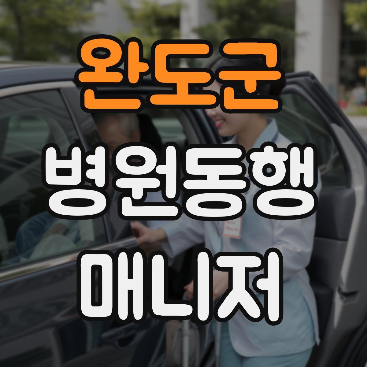 완도군 병원동행매니저 자격증