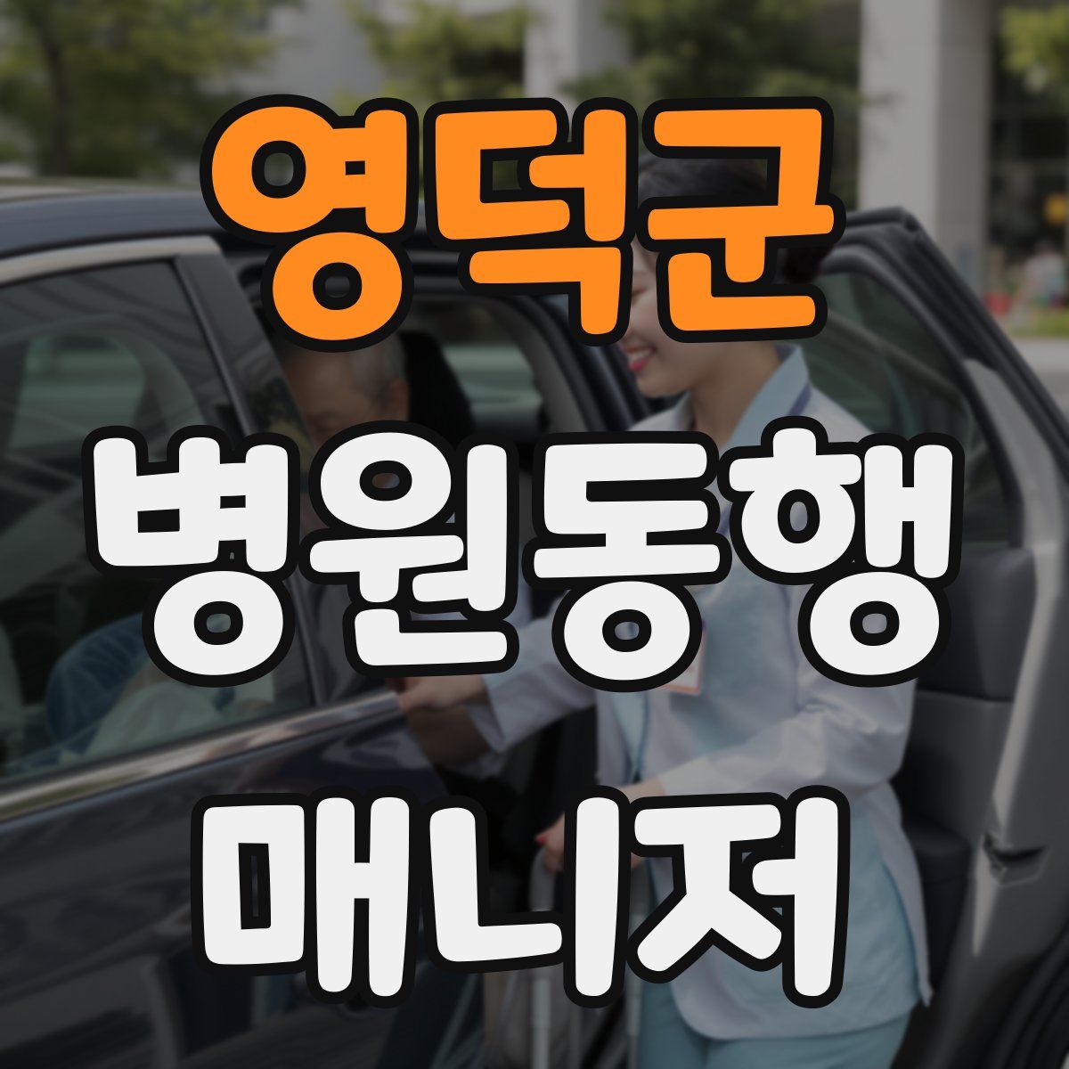 영덕군 병원동행매니저 자격증