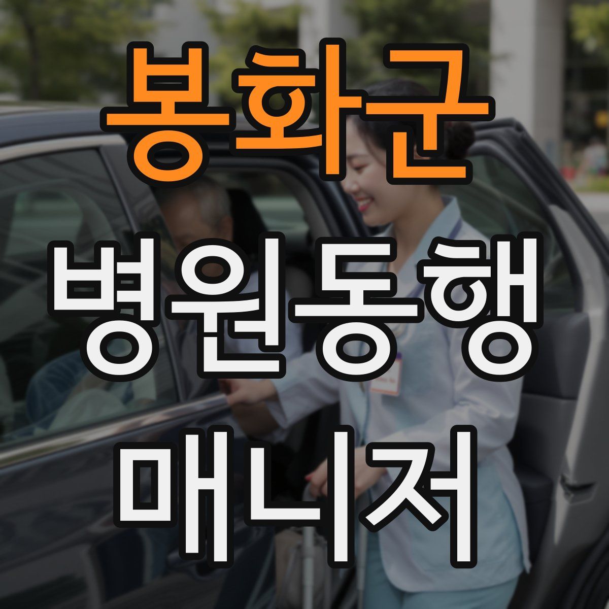 봉화군 병원동행매니저 자격증