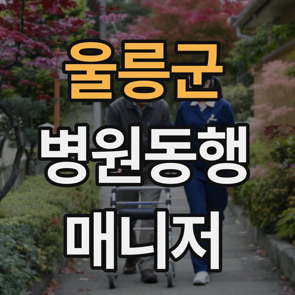 울릉군 병원동행매니저 자격증