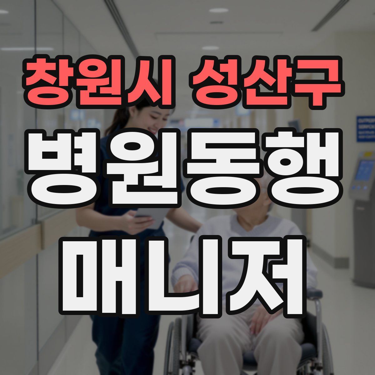 창원시 성산구 병원동행매니저 자격증