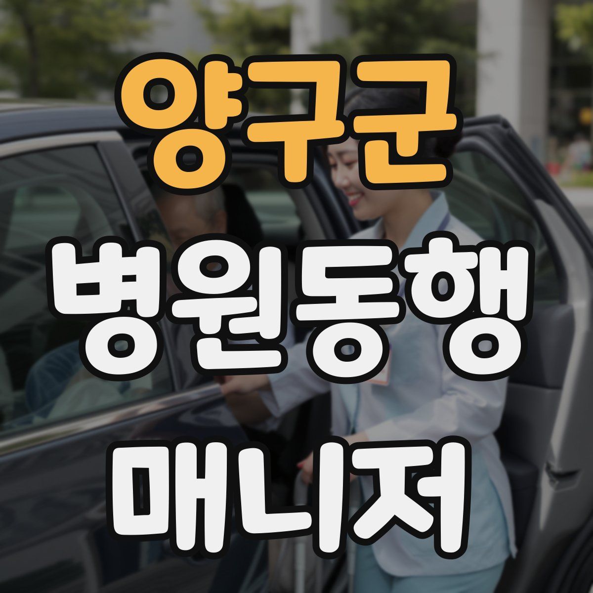 양구군 병원동행매니저 자격증