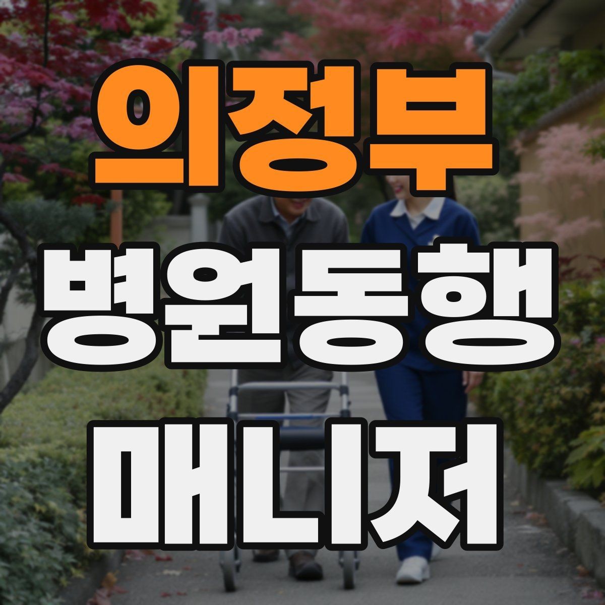 의정부 병원동행매니저 자격증 보행 보조 도구 사용 시 유의점