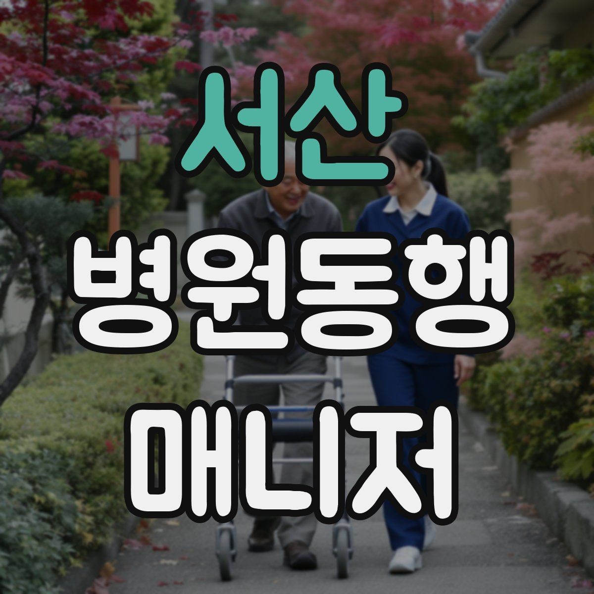 서산 병원동행매니저 자격증 요즘 관심이 늘어난 이유