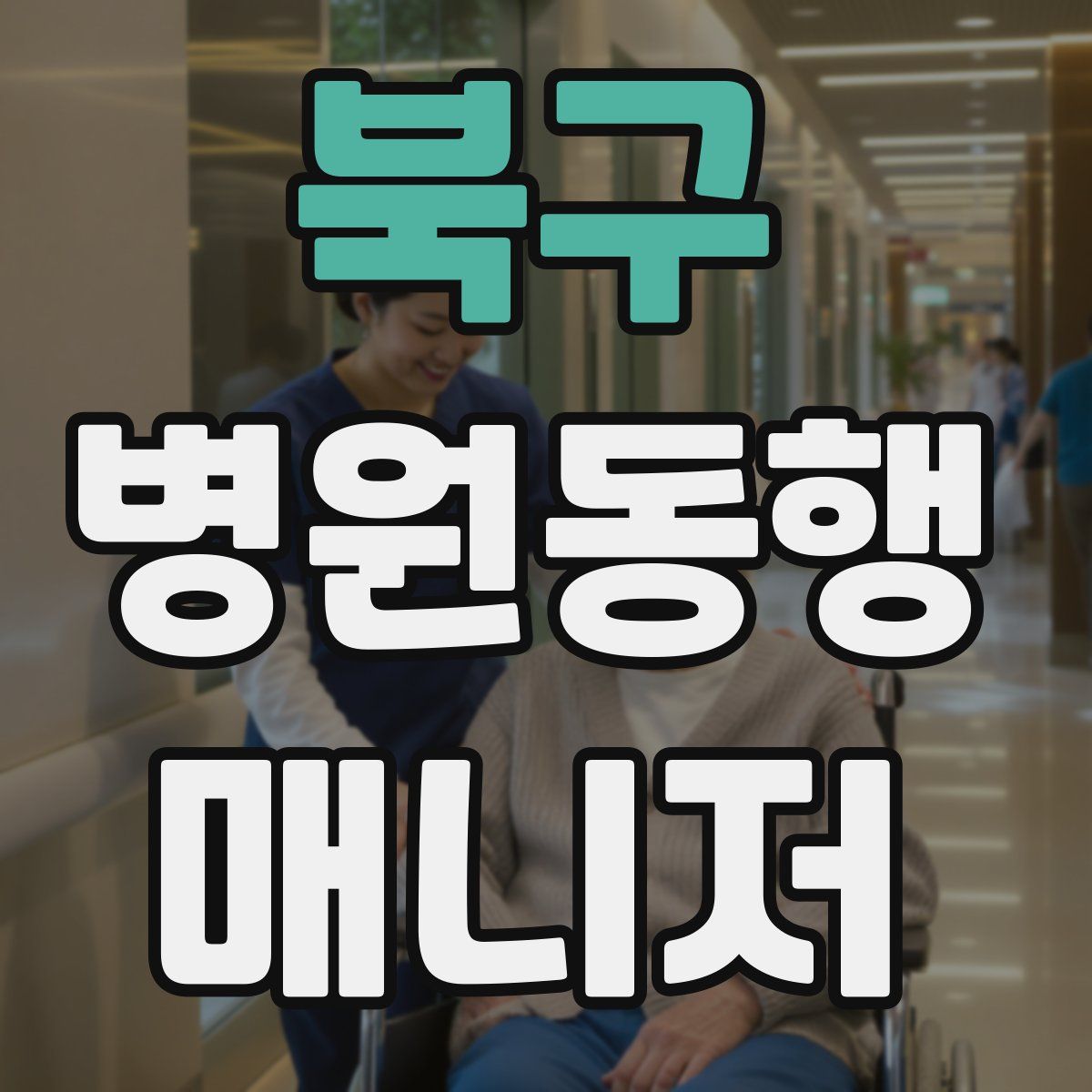 북구 병원동행매니저 자격증