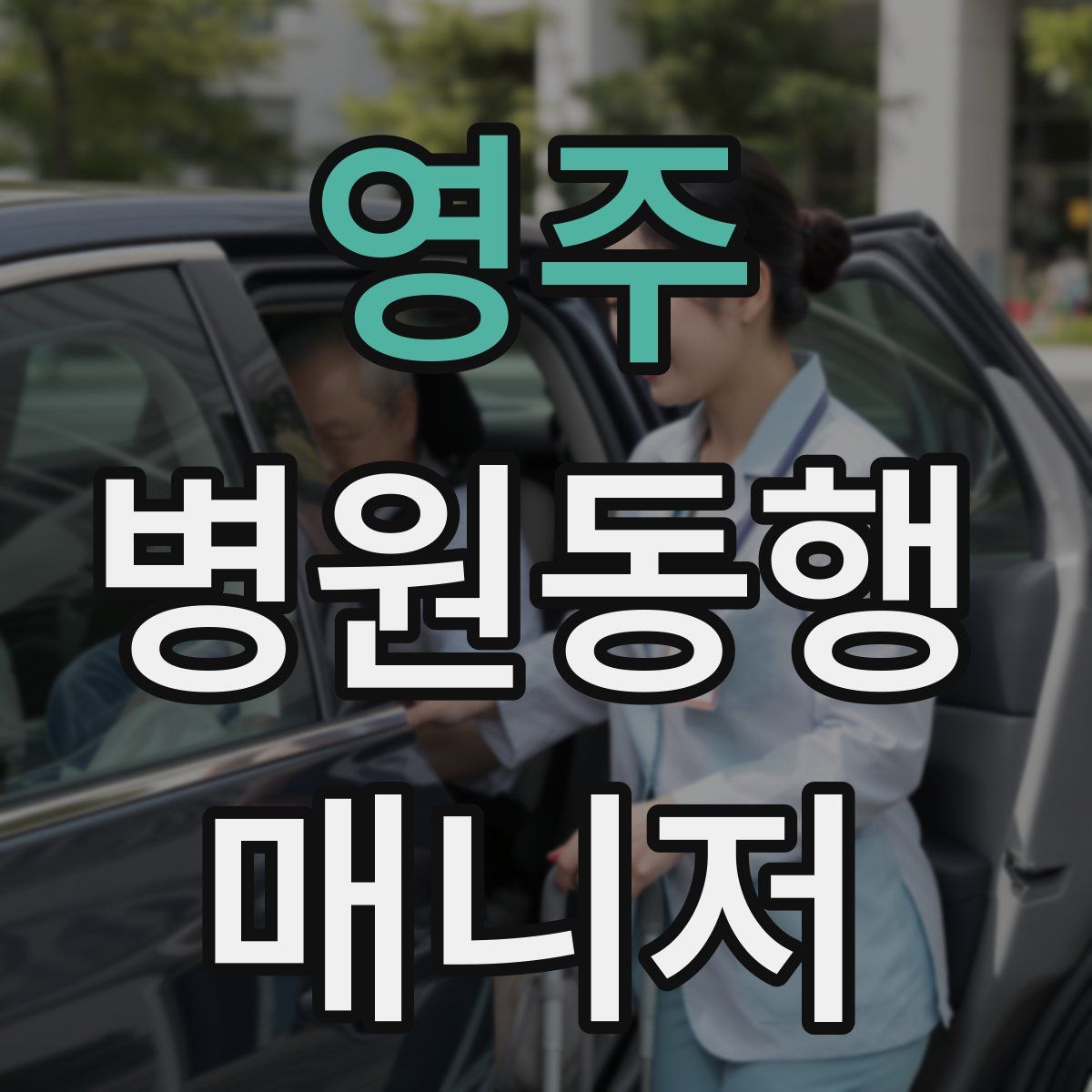 영주 병원동행매니저 자격증