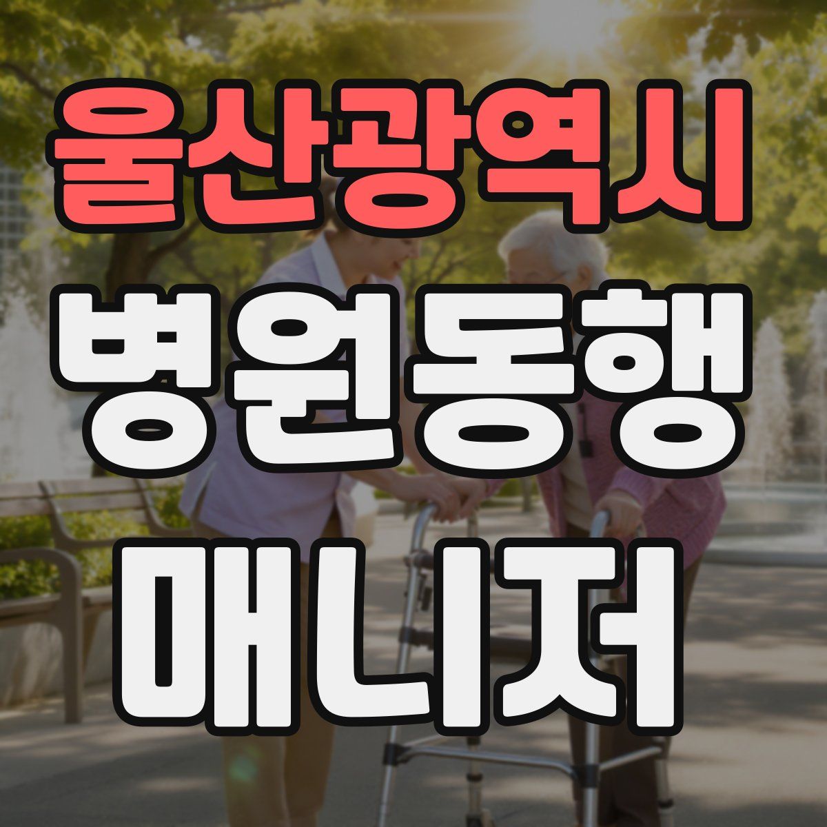 울산광역시 병원동행매니저 자격증
