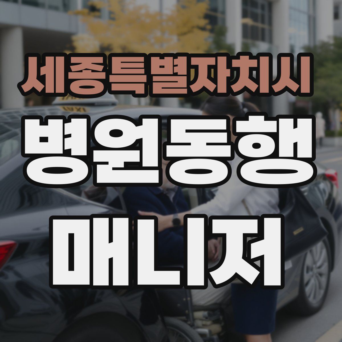 세종특별자치시 병원동행매니저 자격증