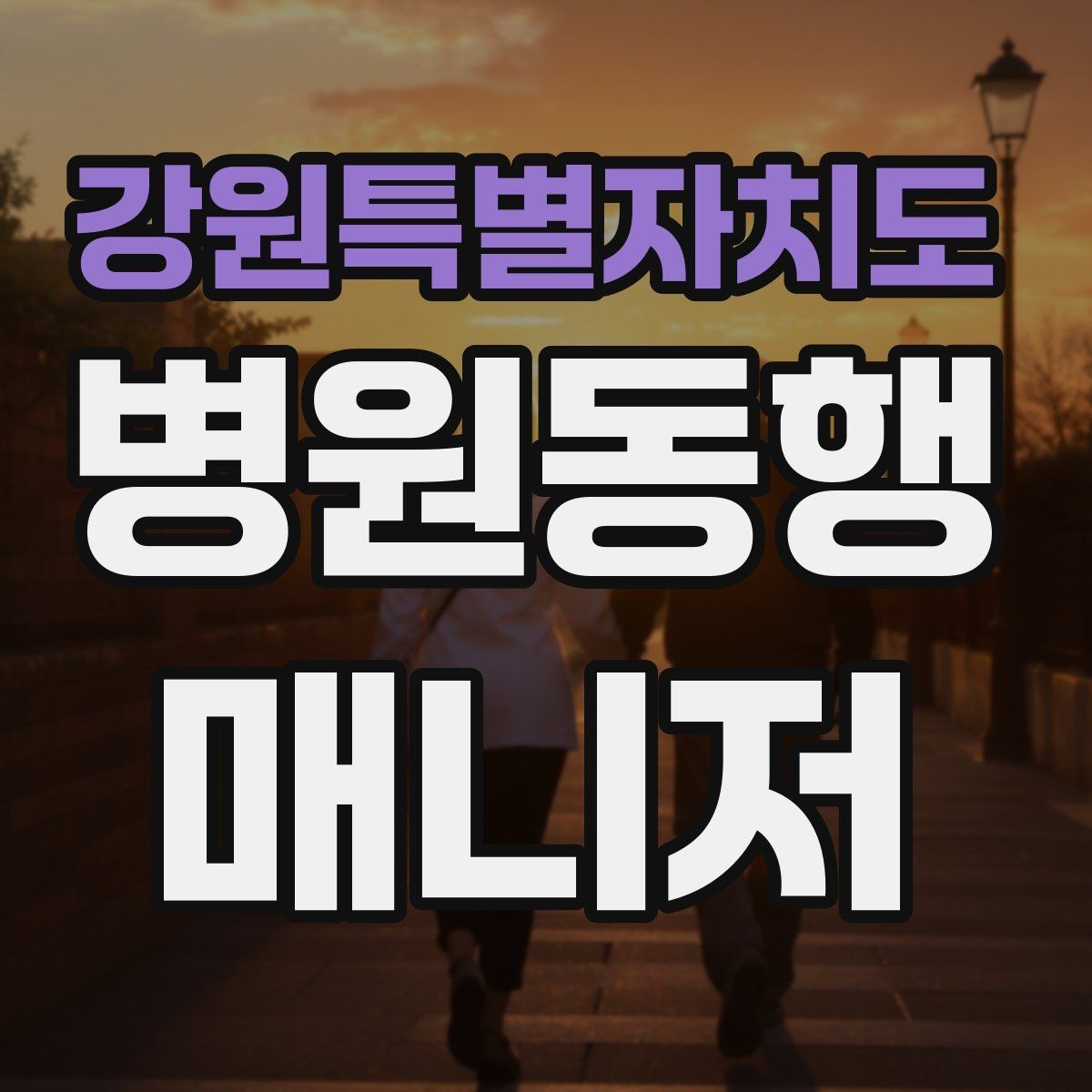 강원특별자치도 병원동행매니저 자격증 서류 분실을 막는 관리 방법