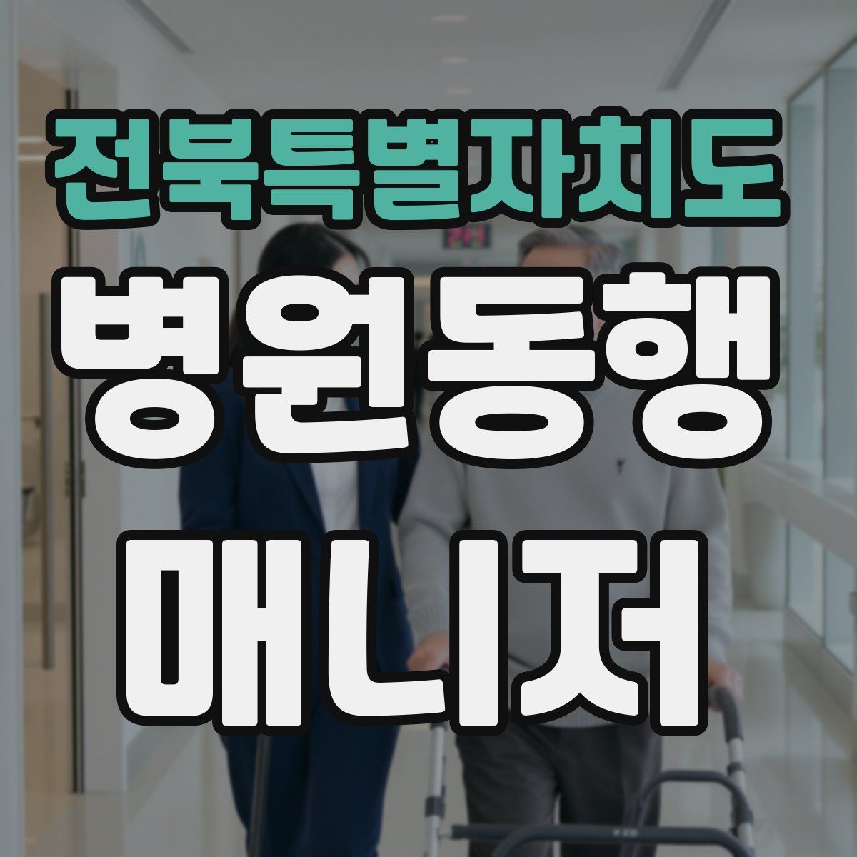 전북특별자치도 병원동행매니저 자격증