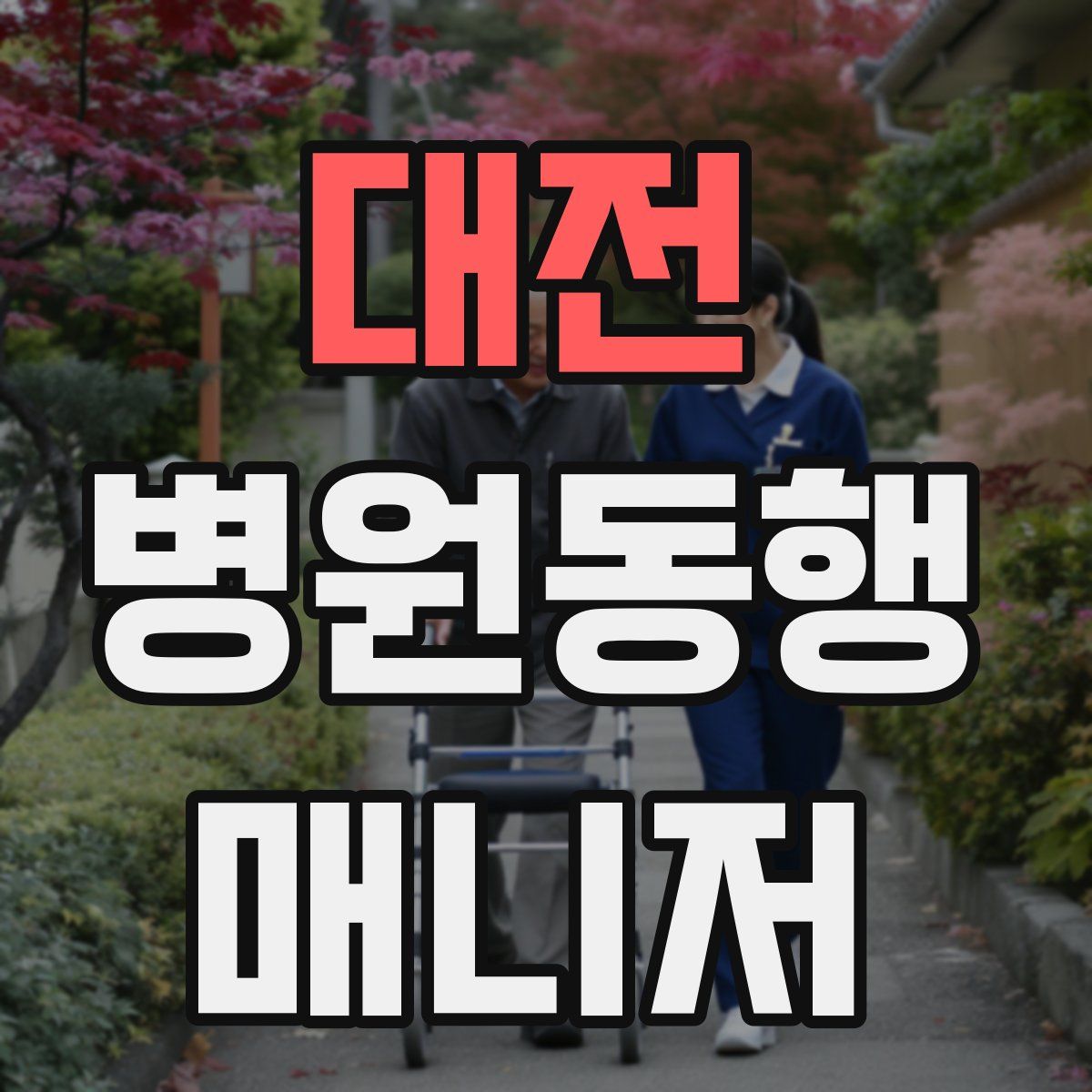 대전 병원동행매니저 자격증