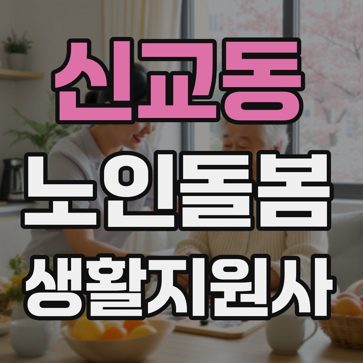 신교동 노인돌봄생활지원사 자격증