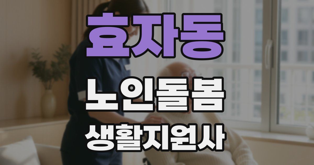 효자동 노인돌봄생활지원사 자격증