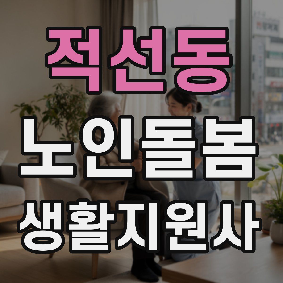 적선동 노인돌봄생활지원사 자격증