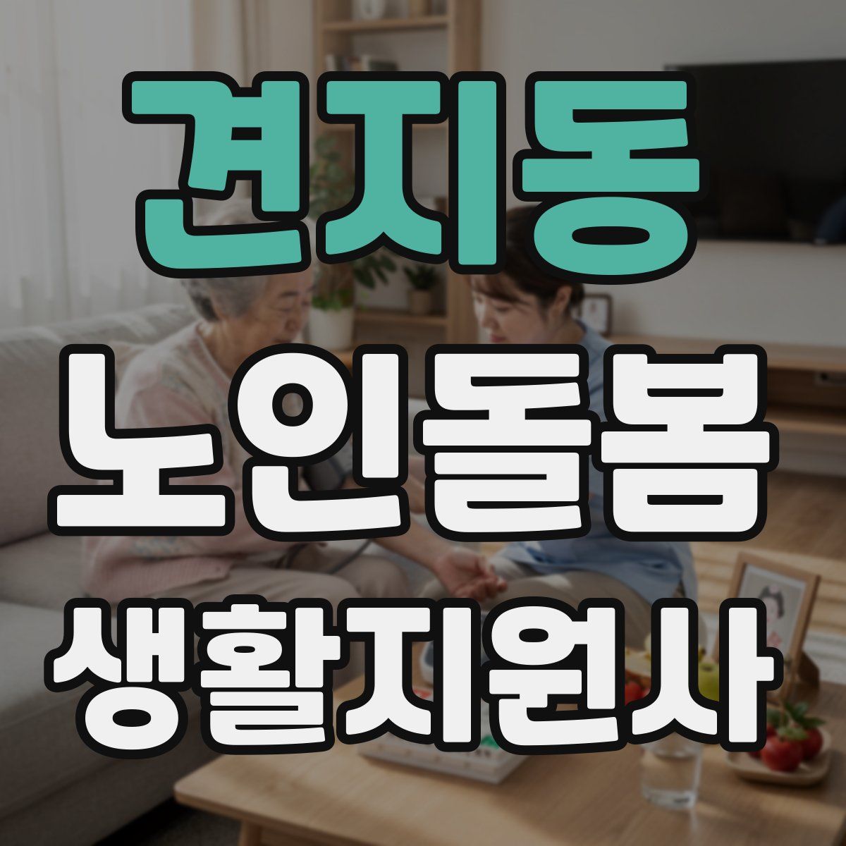 견지동 노인돌봄생활지원사 자격증
