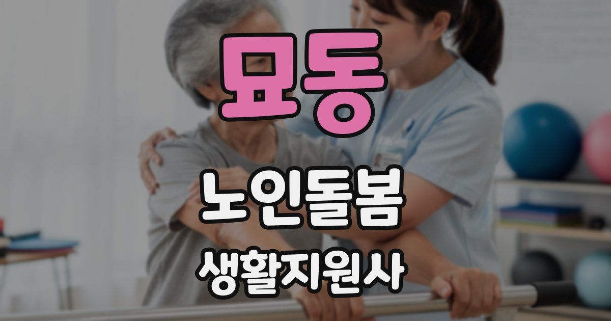 묘동 노인돌봄생활지원사 자격증