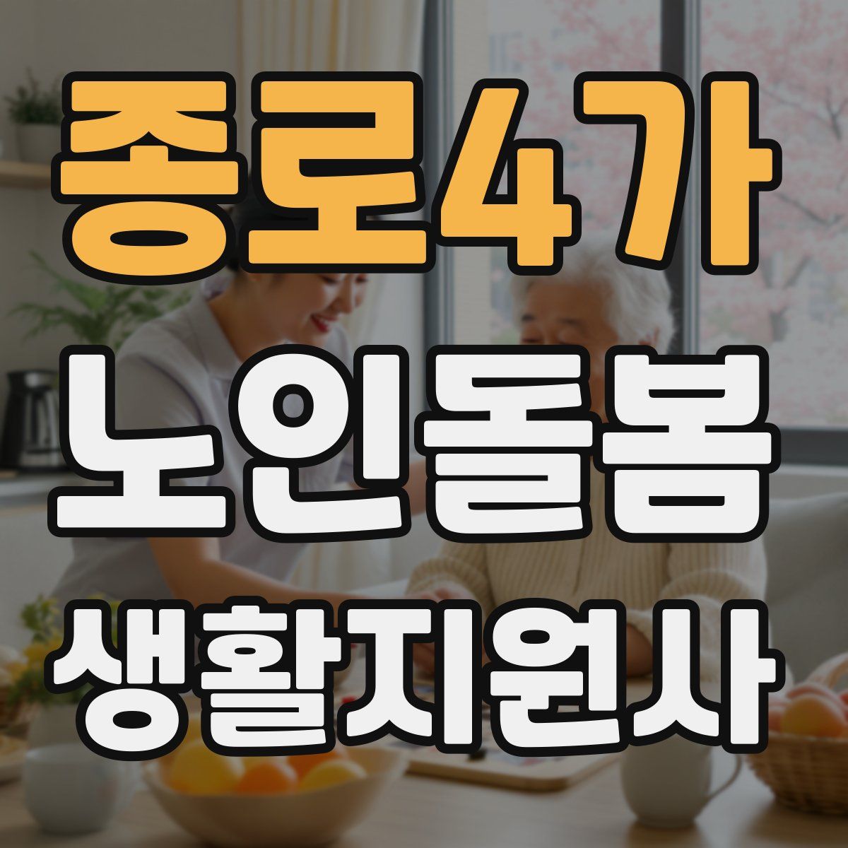 종로4가 노인돌봄생활지원사 자격증
