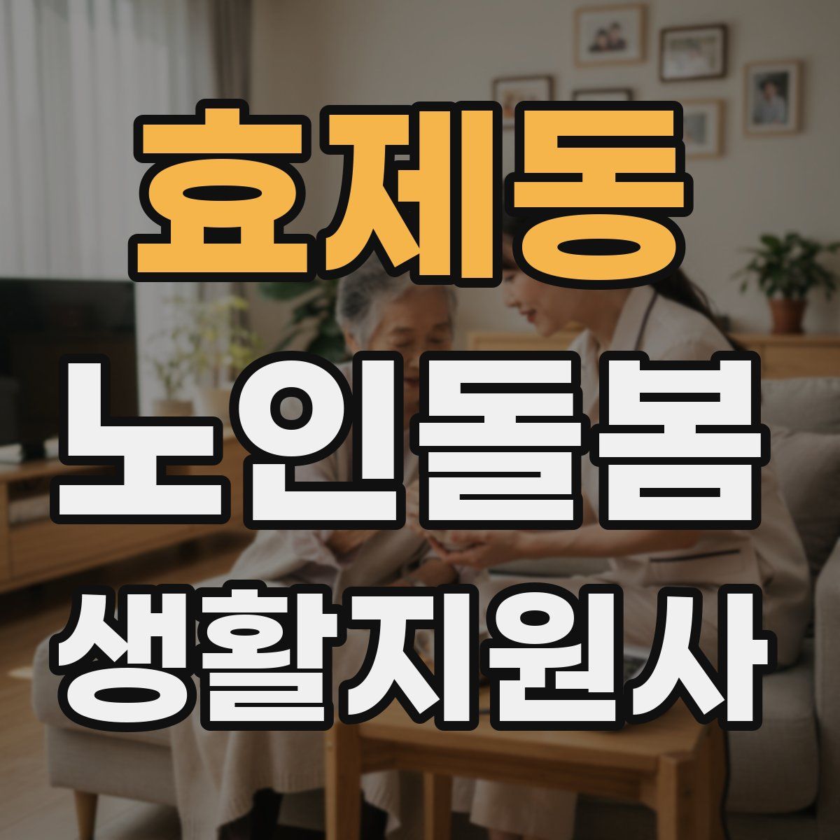 효제동 노인돌봄생활지원사 자격증