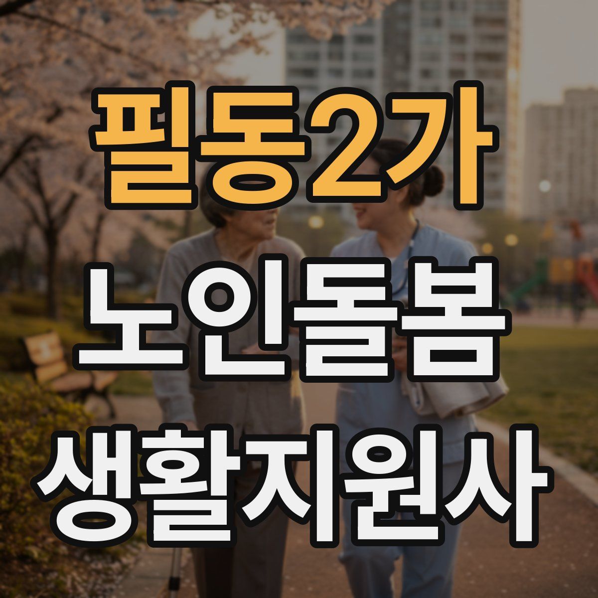필동2가 노인돌봄생활지원사 자격증