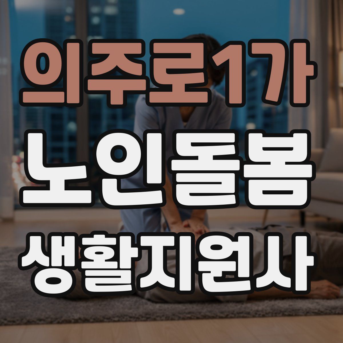 의주로1가 노인돌봄생활지원사 자격증