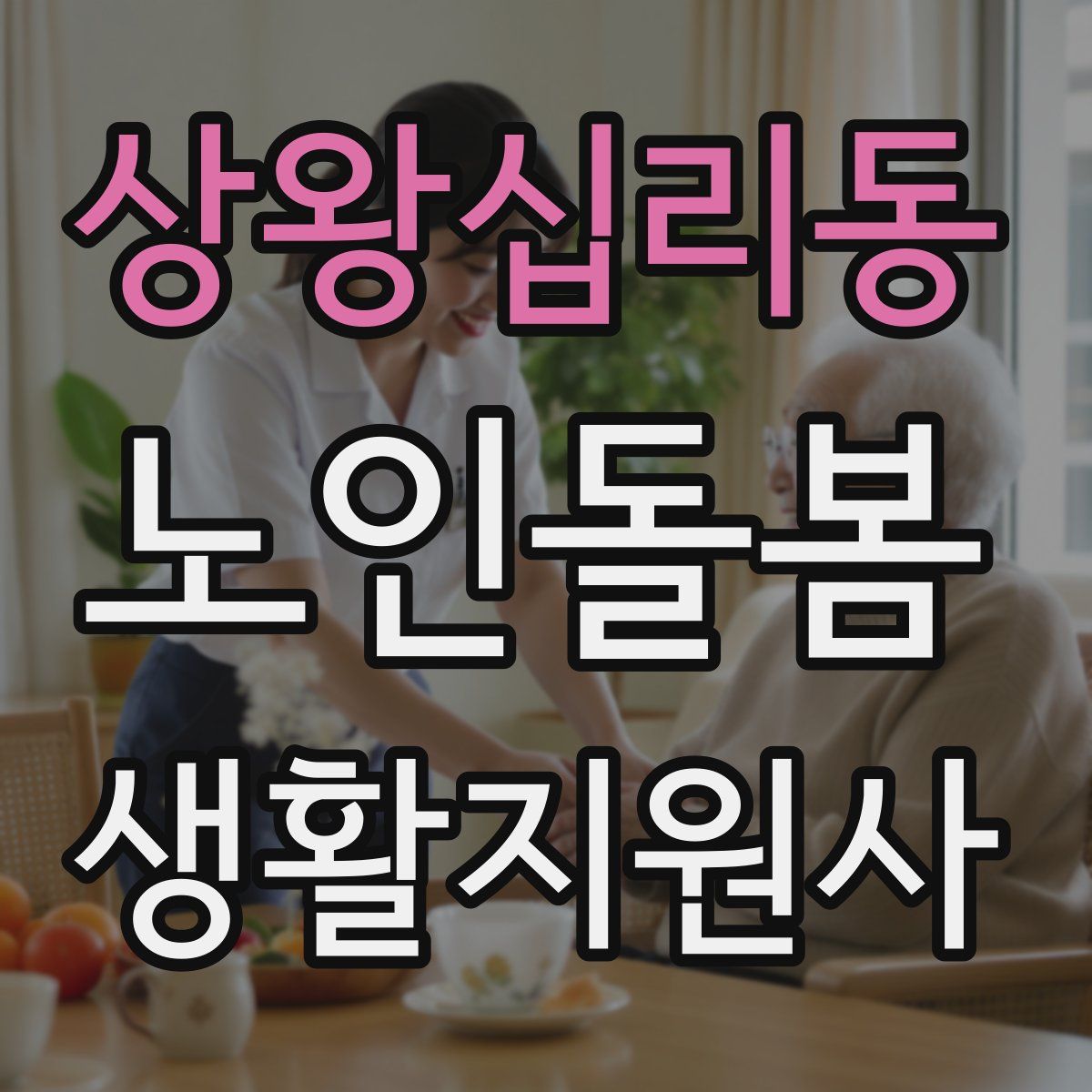 상왕십리동 노인돌봄생활지원사 자격증