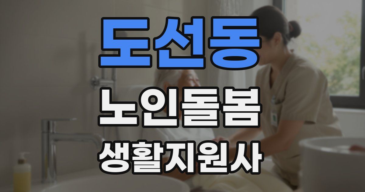 도선동 노인돌봄생활지원사 자격증