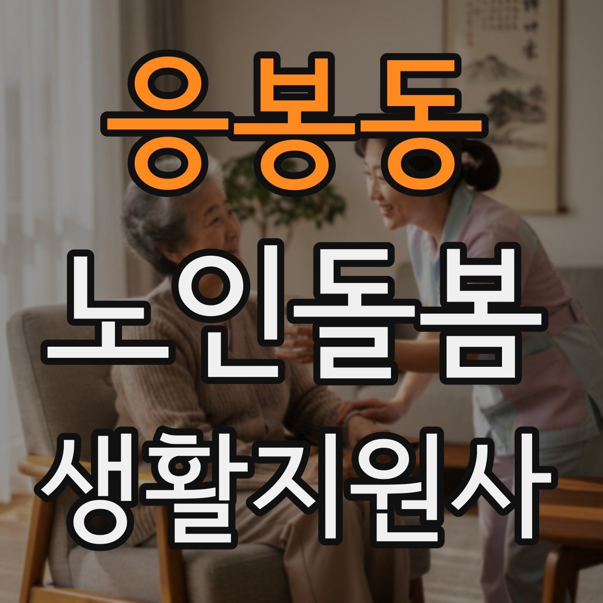 응봉동 노인돌봄생활지원사 자격증