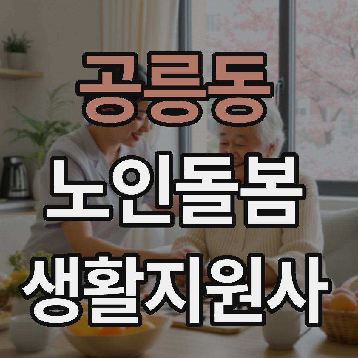 공릉동 노인돌봄생활지원사 자격증