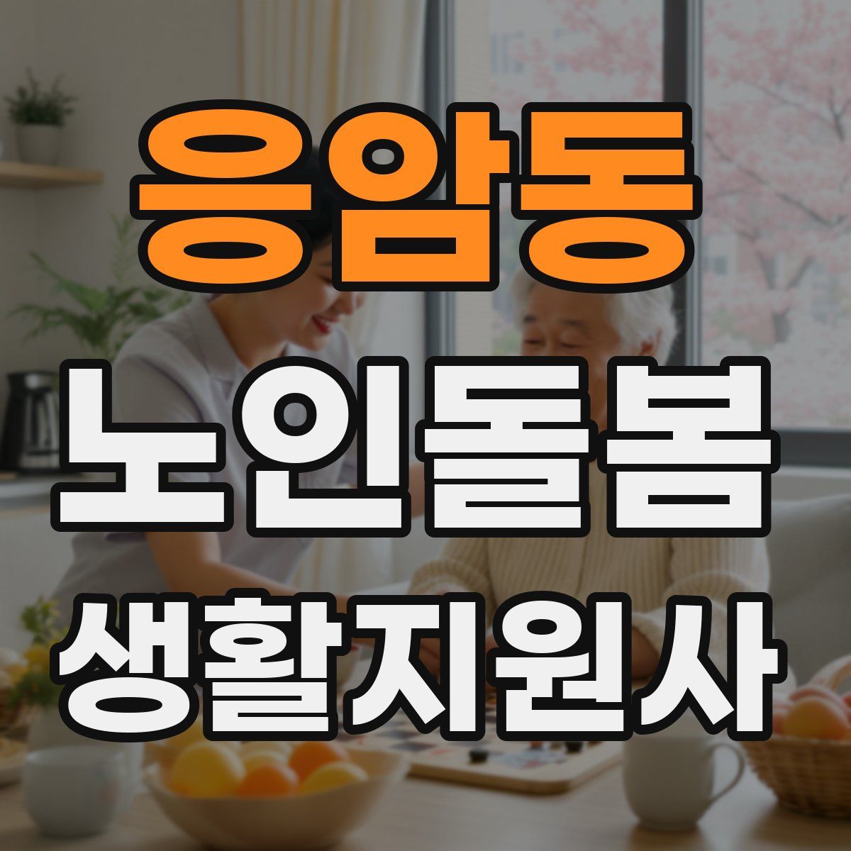 응암동 노인돌봄생활지원사 자격증