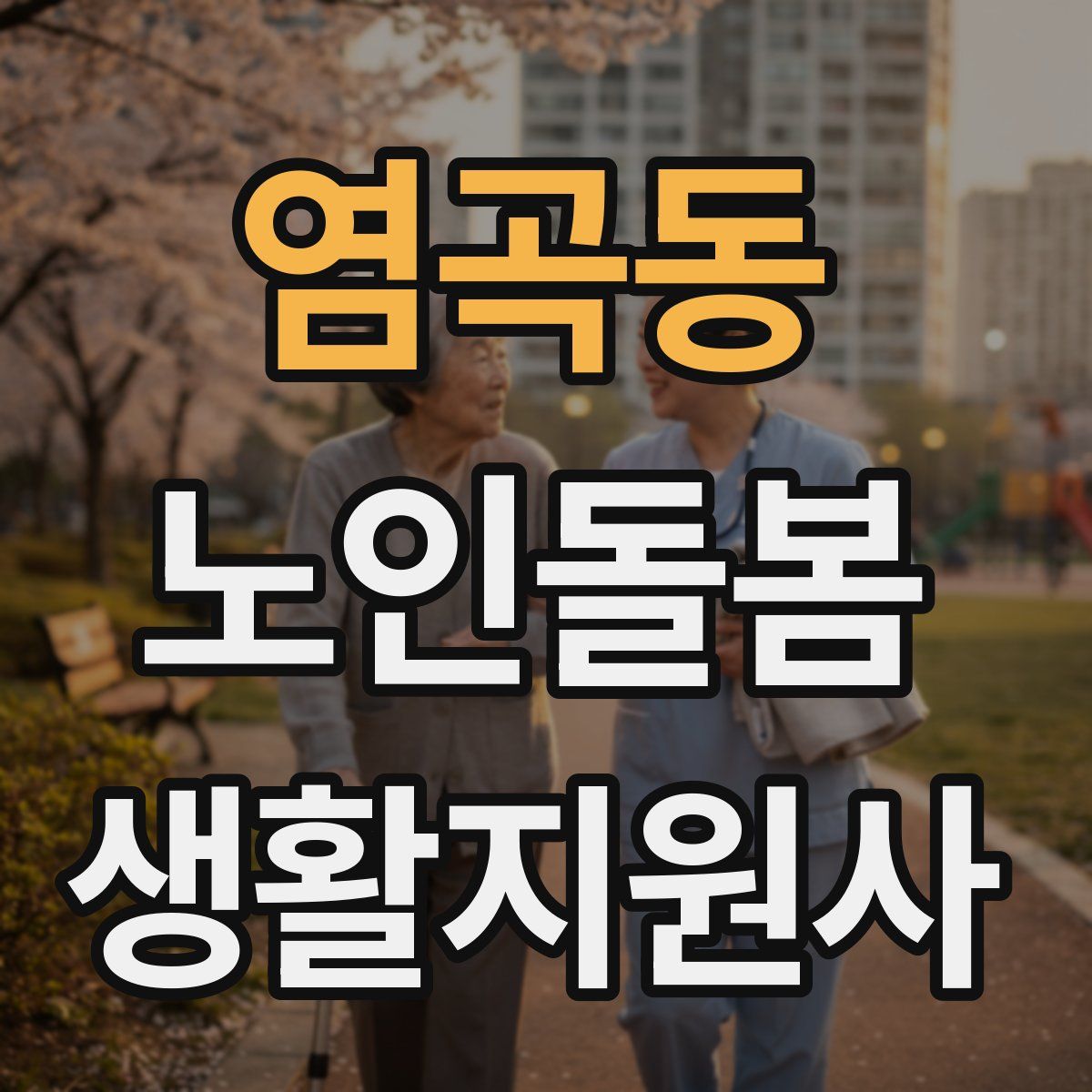 염곡동 노인돌봄생활지원사 자격증