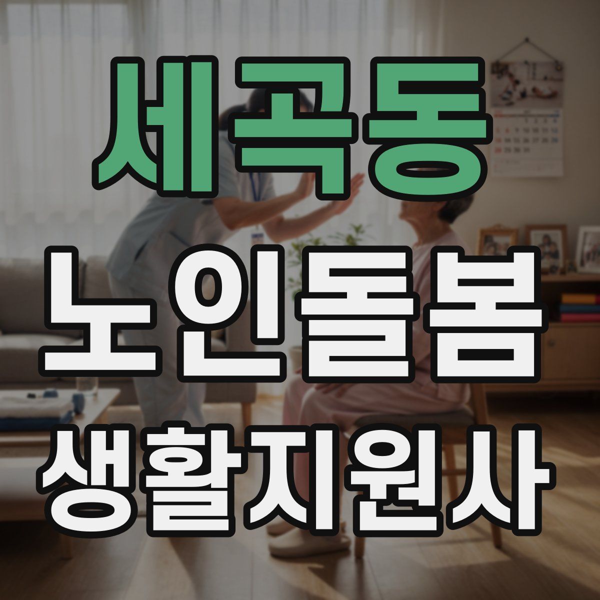 세곡동 노인돌봄생활지원사 자격증