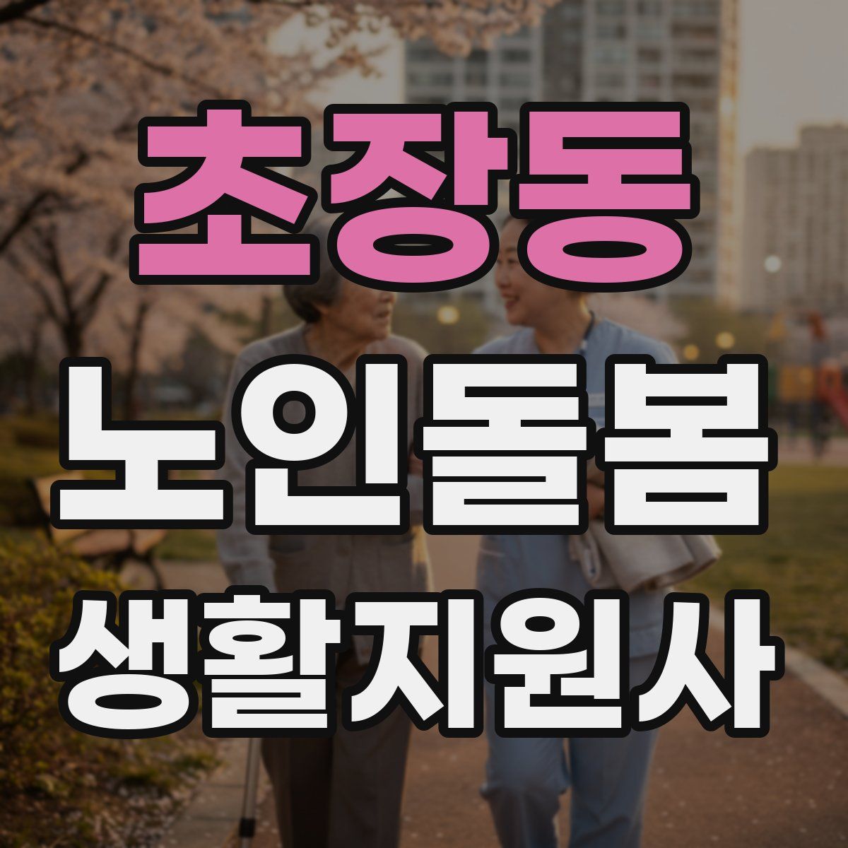 초장동 노인돌봄생활지원사 자격증