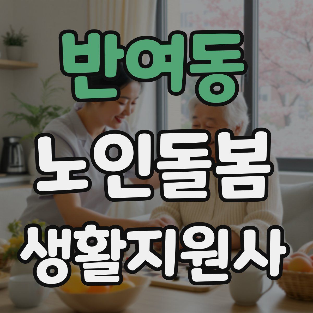 반여동 노인돌봄생활지원사 자격증