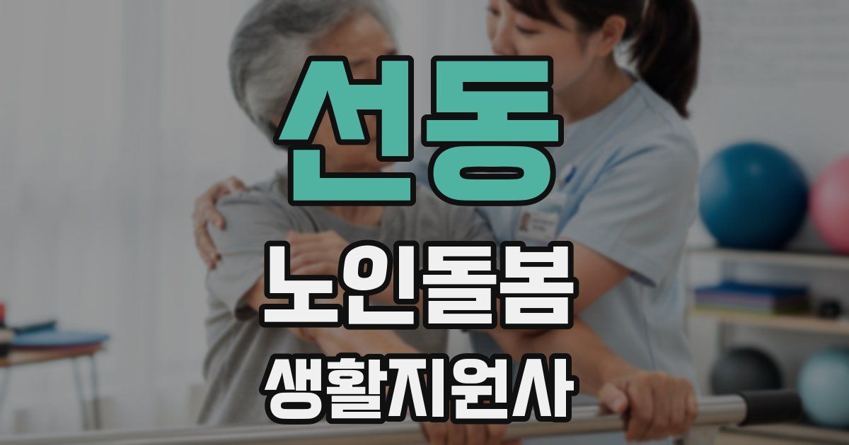 선동 노인돌봄생활지원사 자격증