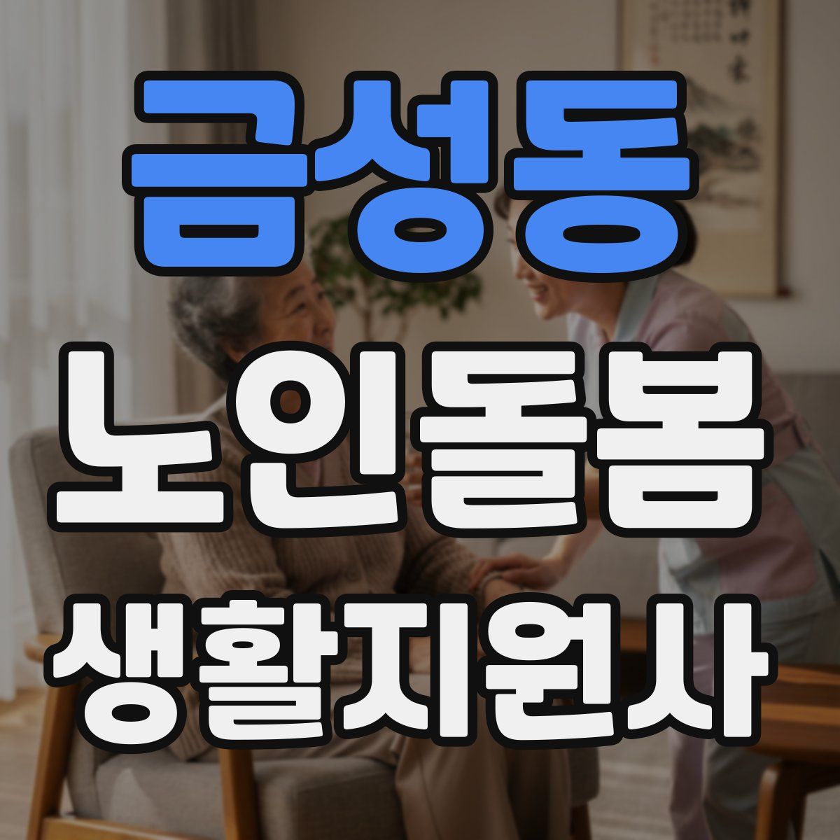 금성동 노인돌봄생활지원사 자격증