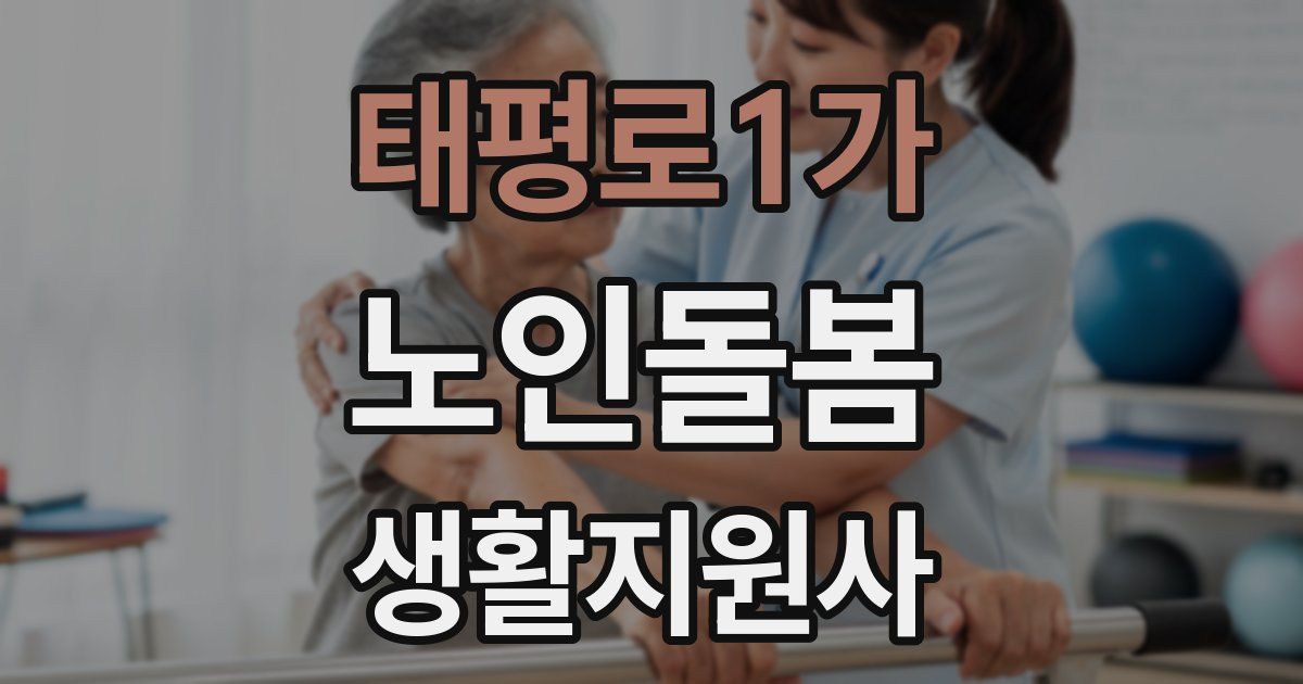 태평로1가 노인돌봄생활지원사 자격증