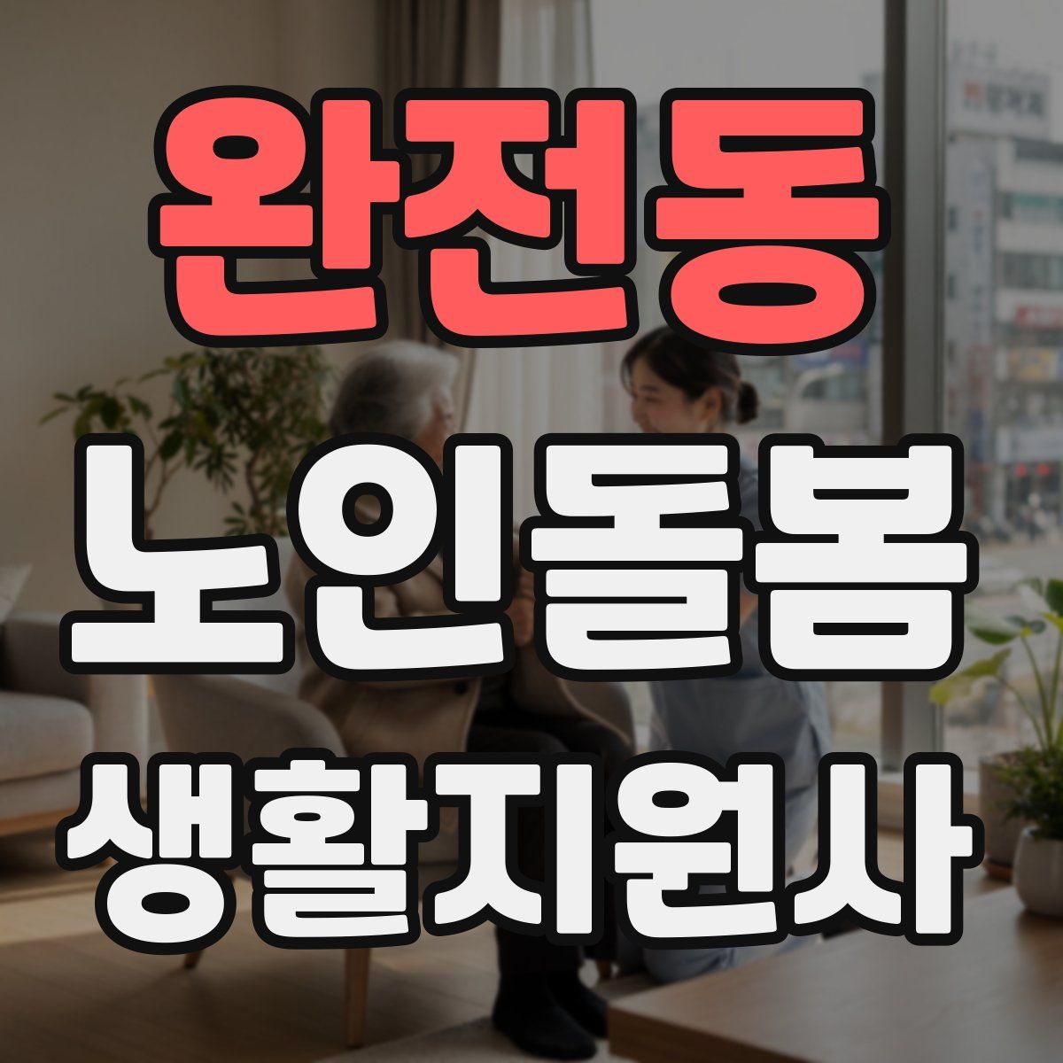 완전동 노인돌봄생활지원사 자격증