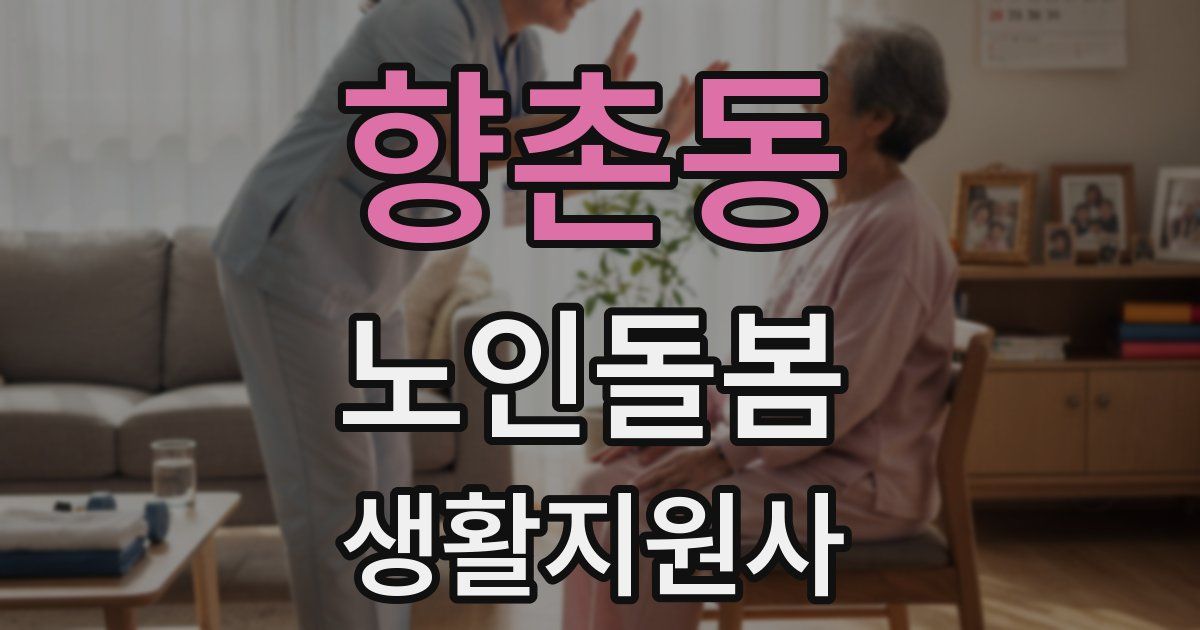 향촌동 노인돌봄생활지원사 자격증
