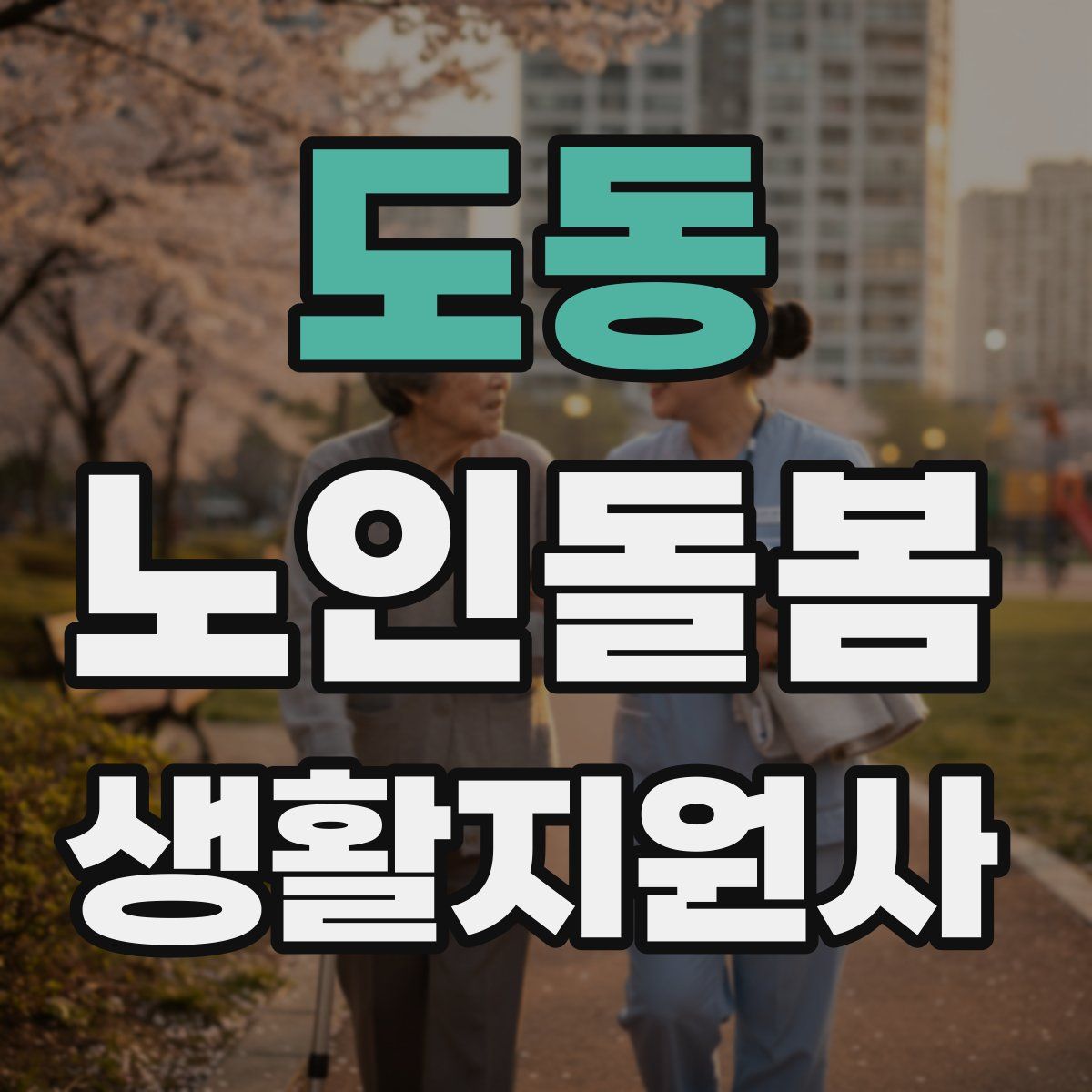도동 노인돌봄생활지원사 자격증