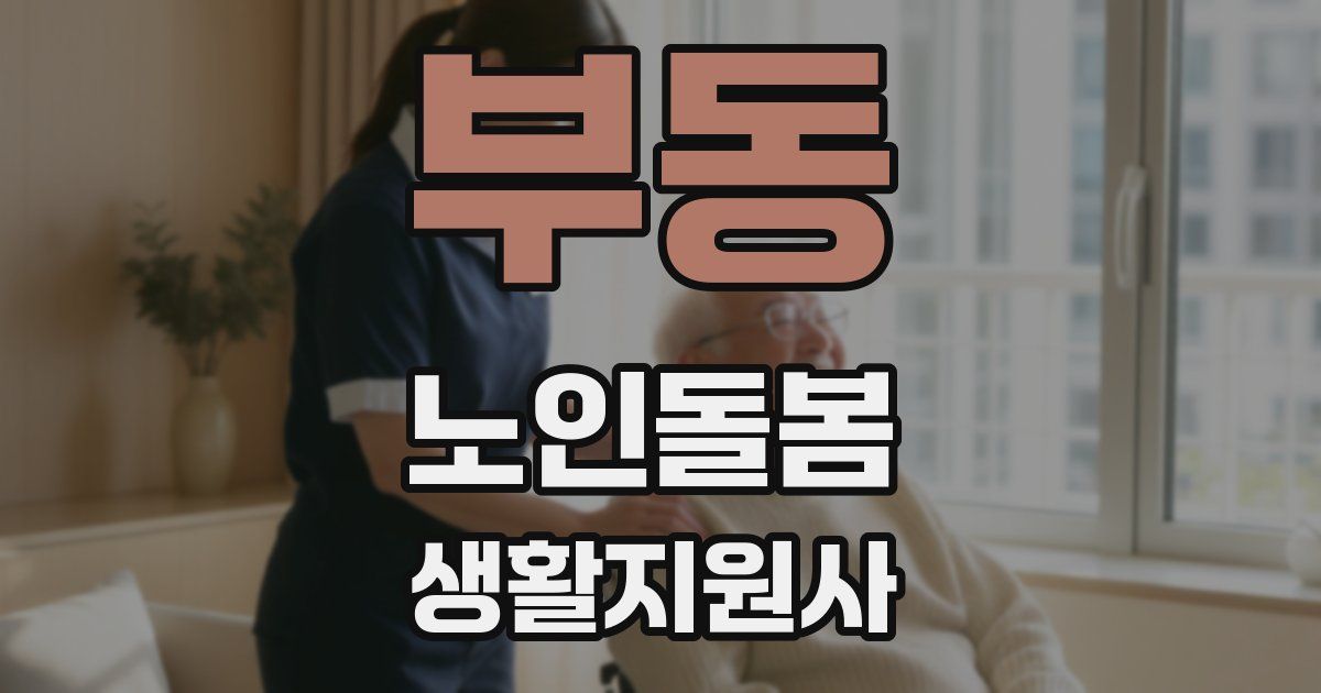부동 노인돌봄생활지원사 자격증