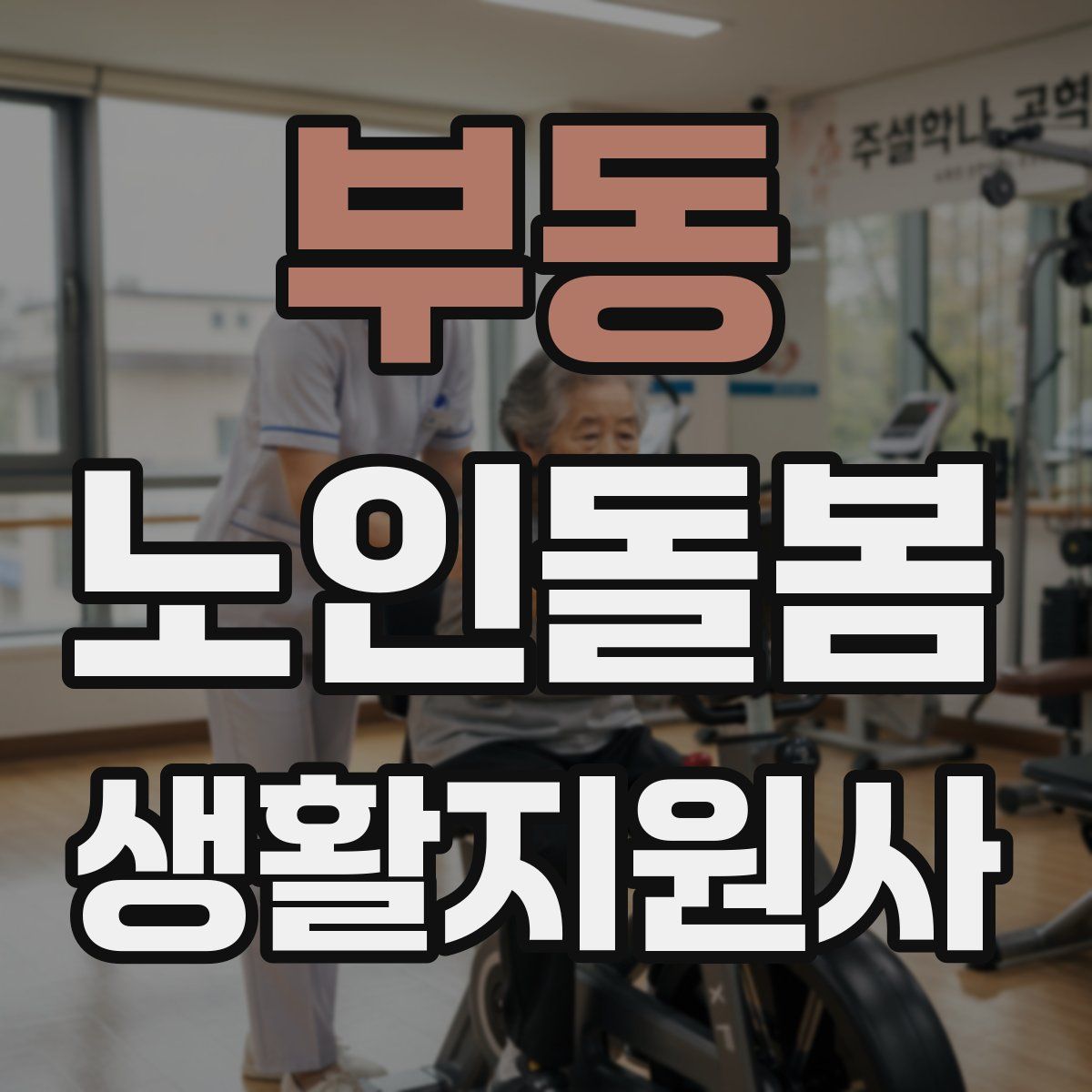 부동 노인돌봄생활지원사 자격증