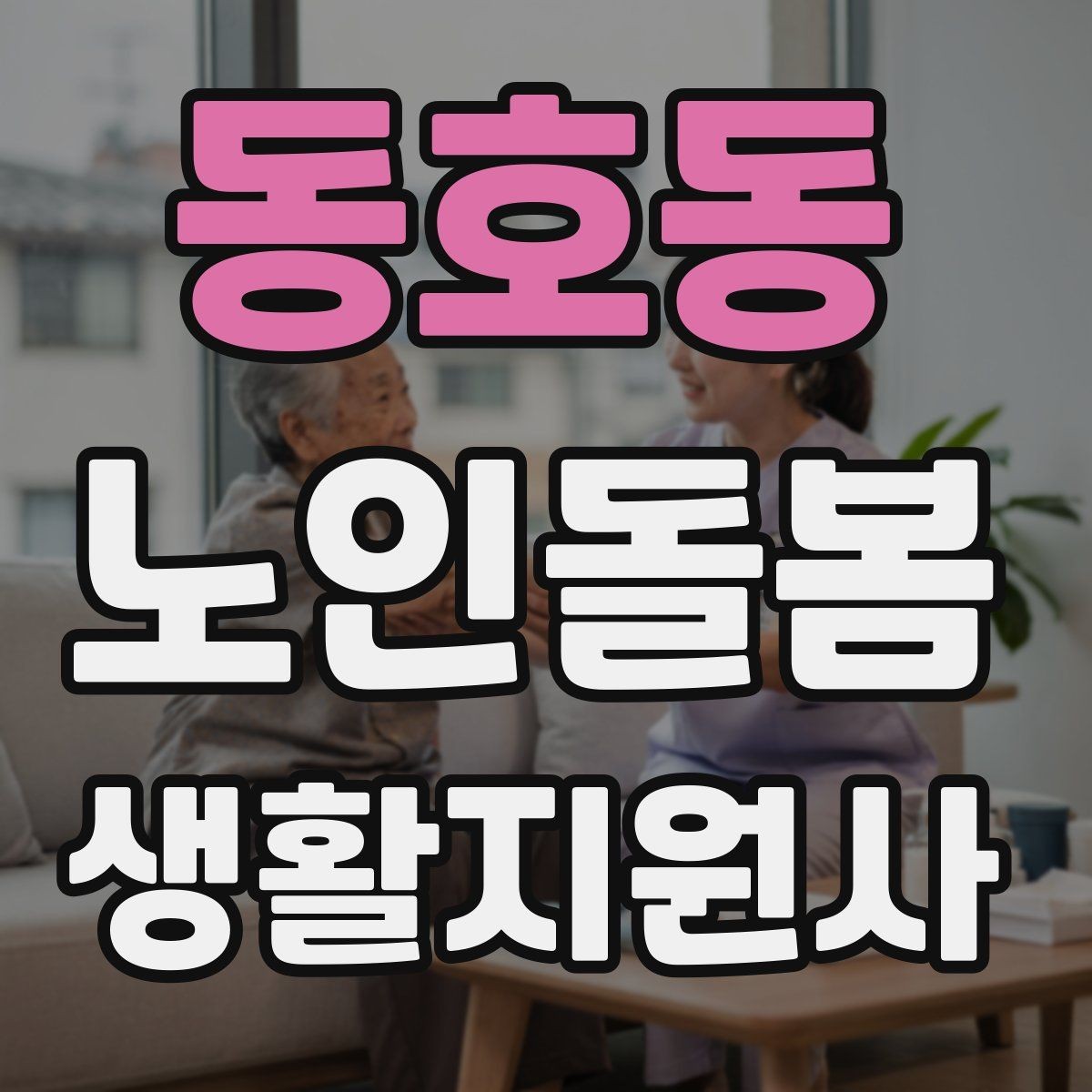 동호동 노인돌봄생활지원사 자격증 복약 정보를 확인하는 방법 정리