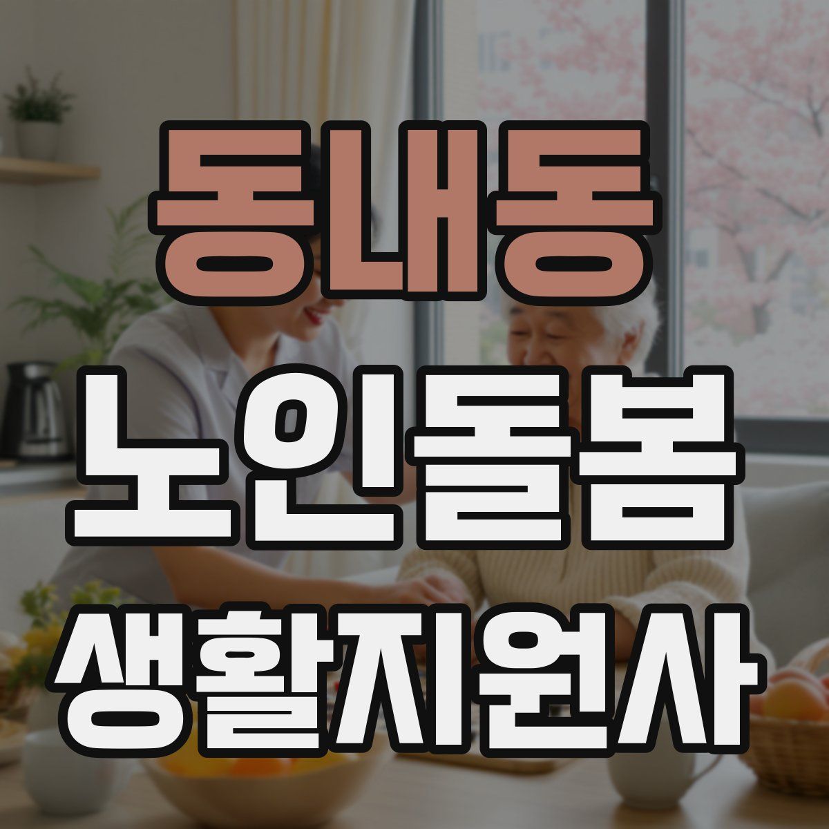 동내동 노인돌봄생활지원사 자격증