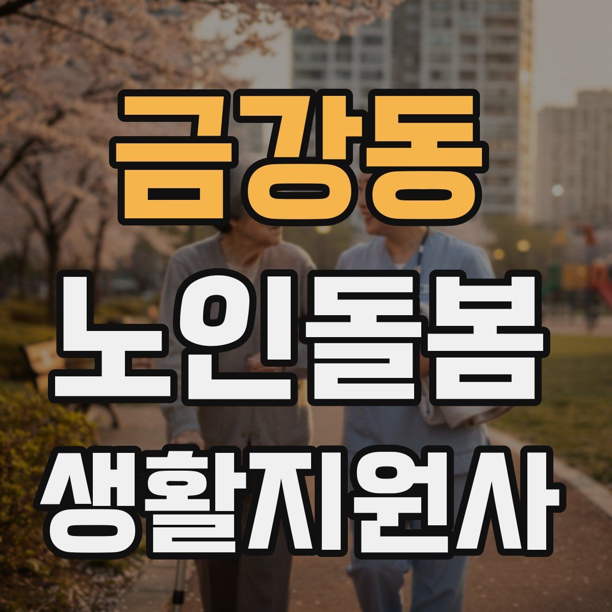 금강동 노인돌봄생활지원사 자격증