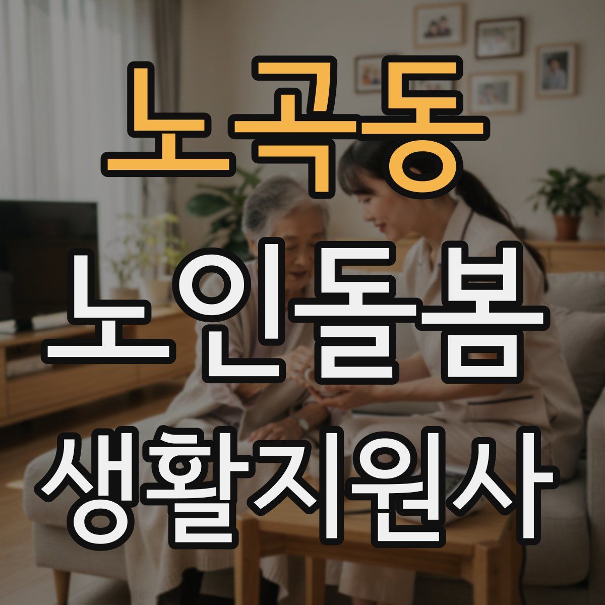 노곡동 노인돌봄생활지원사 자격증