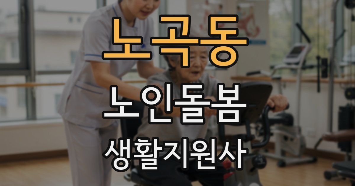 노곡동 노인돌봄생활지원사 자격증
