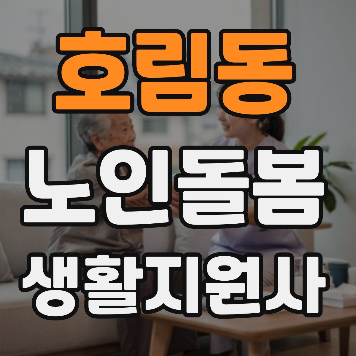호림동 노인돌봄생활지원사 자격증