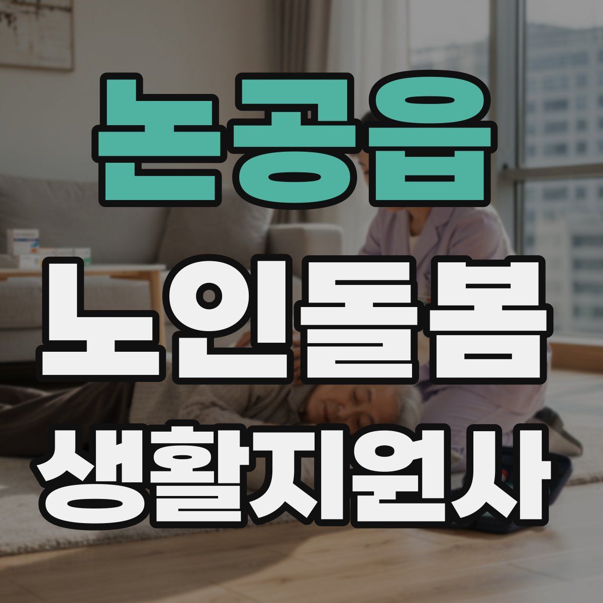 논공읍 노인돌봄생활지원사 자격증
