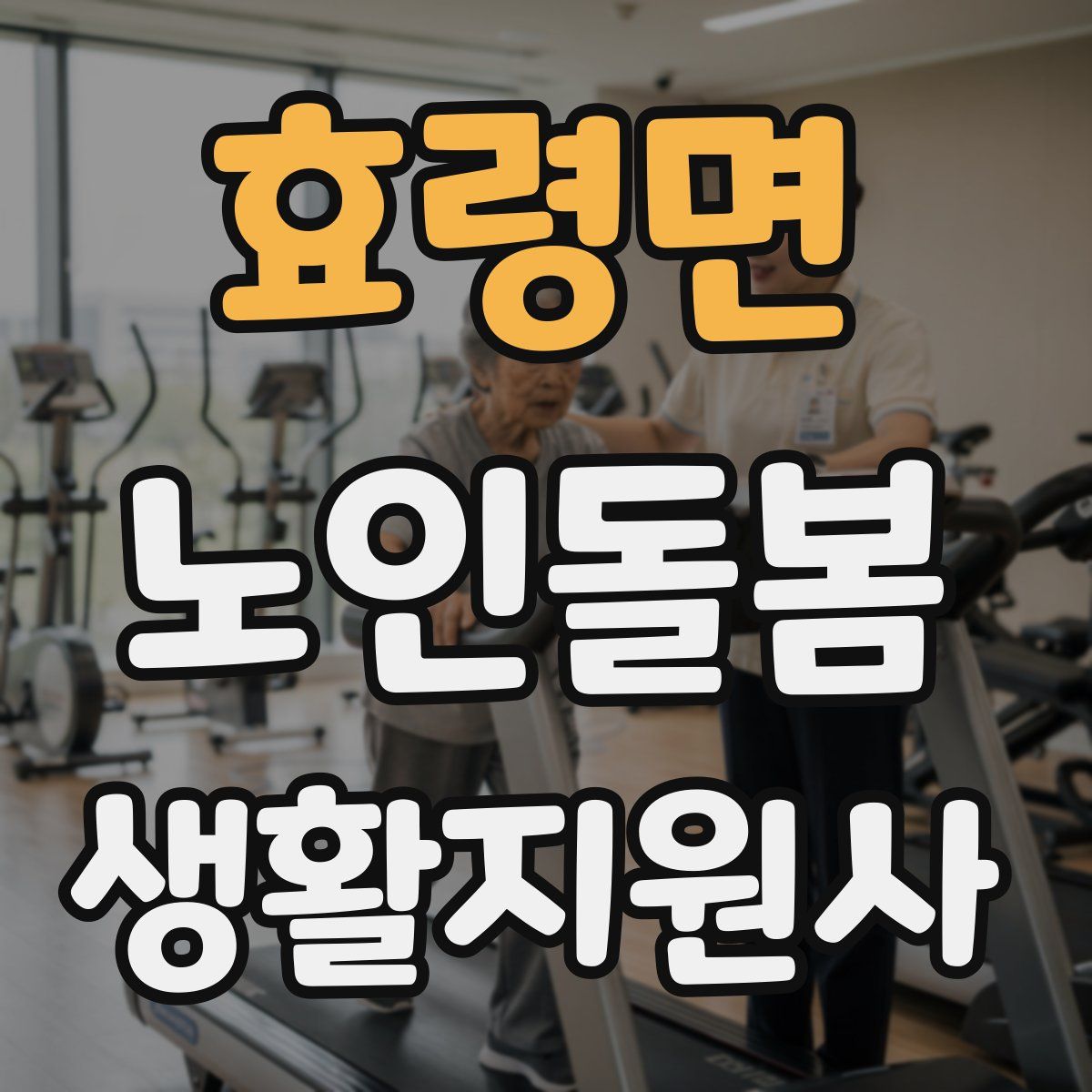효령면 노인돌봄생활지원사 자격증