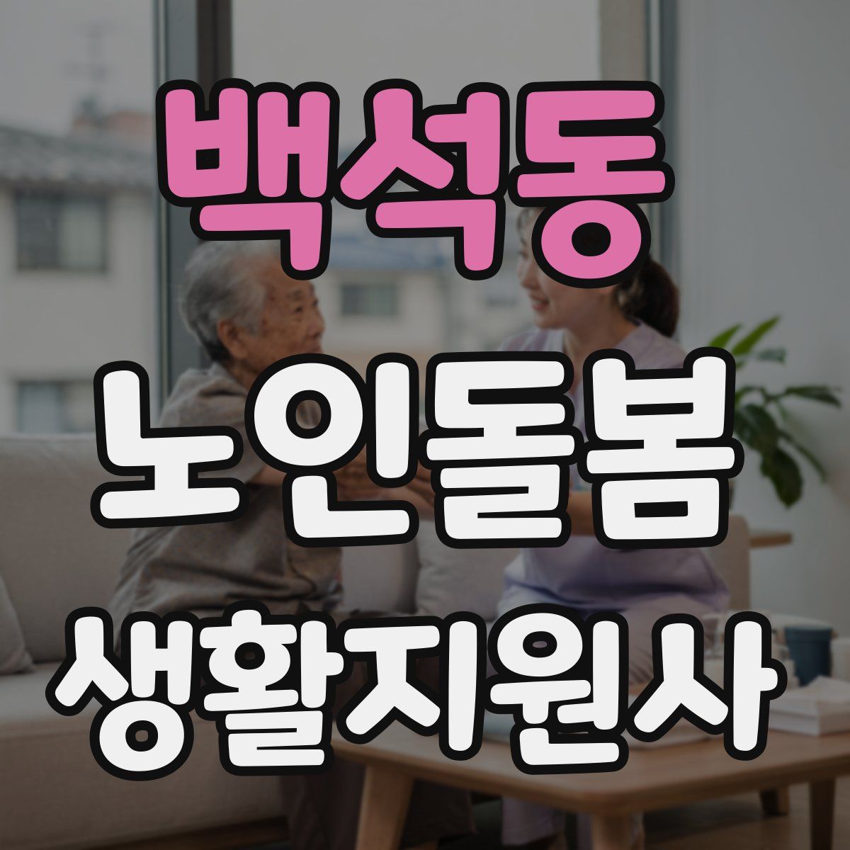 백석동 노인돌봄생활지원사 자격증